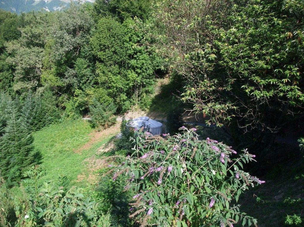 Tournon-sur-Rhône 萨瓦不同寻常的大酒窖酒庄旅馆酒店 外观 照片